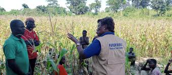 Pocfarmer Establishes Strategic Presence in the Central African Republic to Drive Agricultural Modernization and Regional Growth 1 image 7